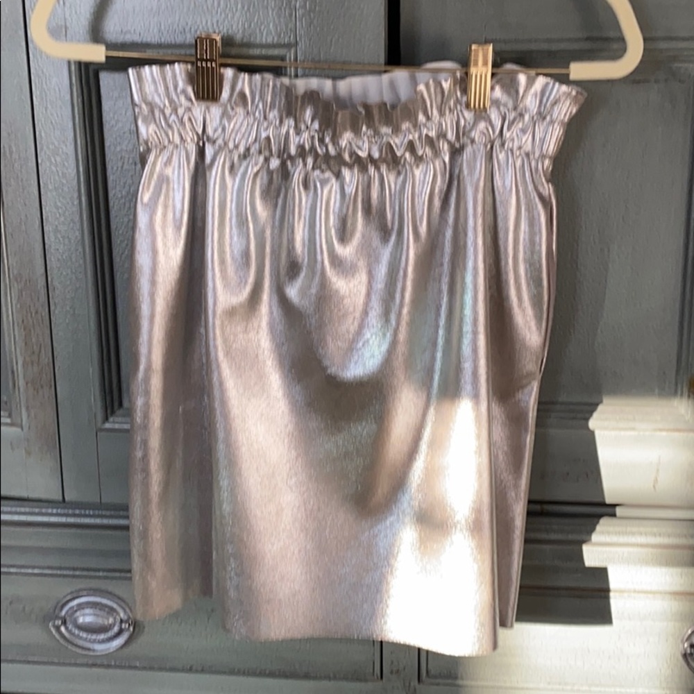 Metallic Zara skirt NWT